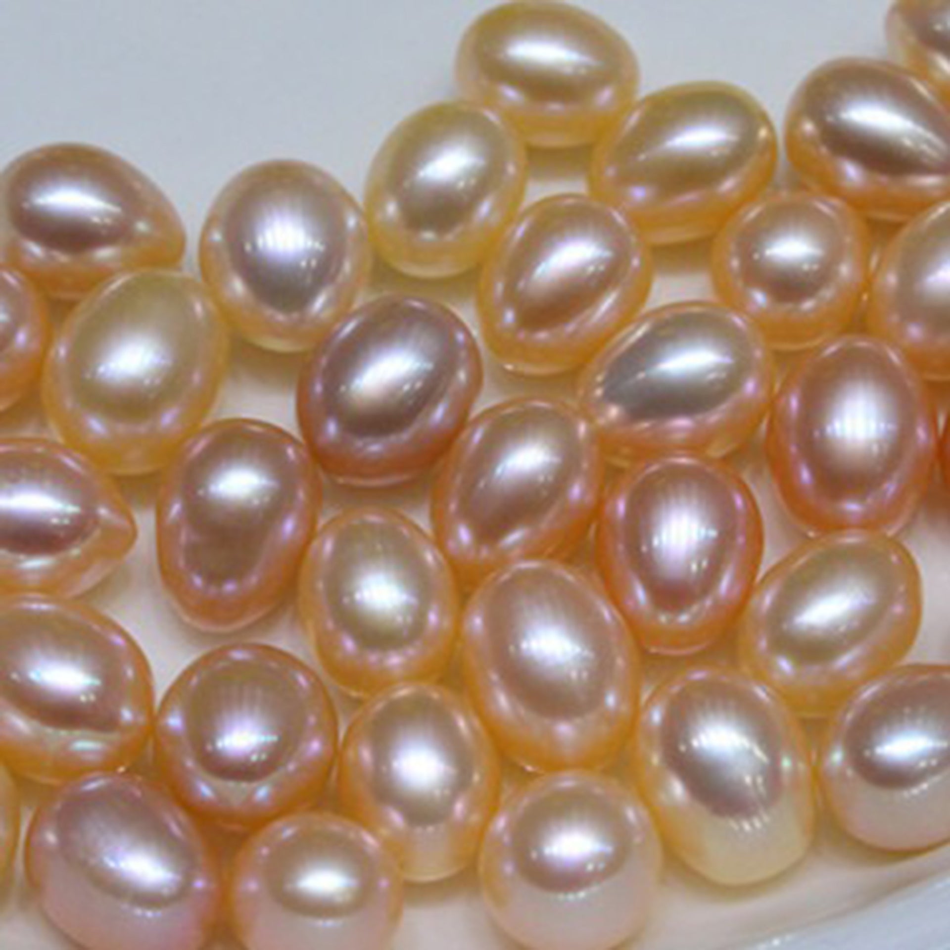 Champagne color drop shape freshwater loose pearls