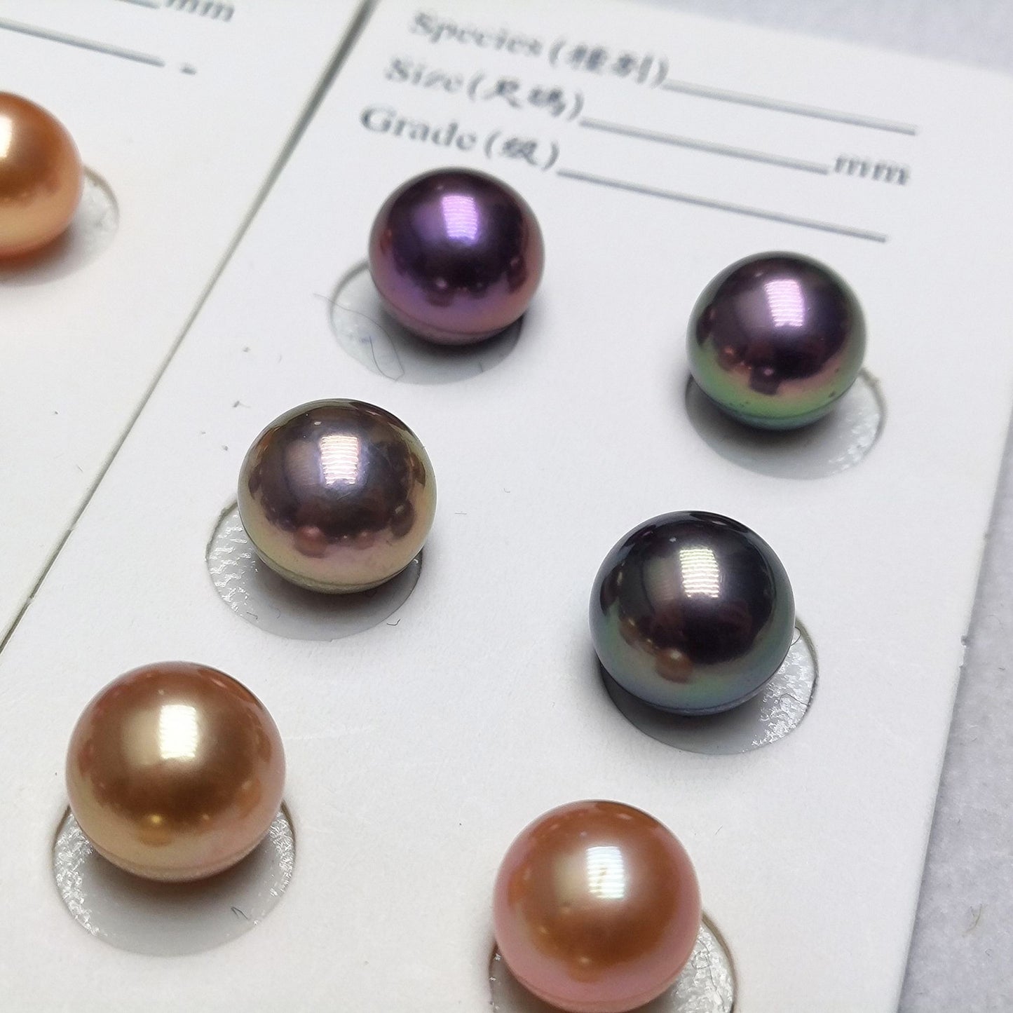 10-11mm Edison Pearl Pairs For Jewelry Making Mixed Color